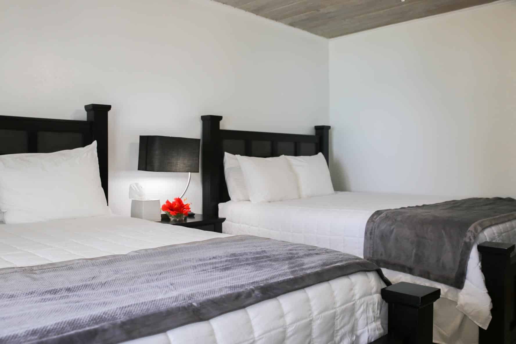 Great Exuma Bahamas - Luxury Room with Two Twin Beds